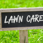 Unlock the Secrets to a Year-Round Green Lawn in Edmonton