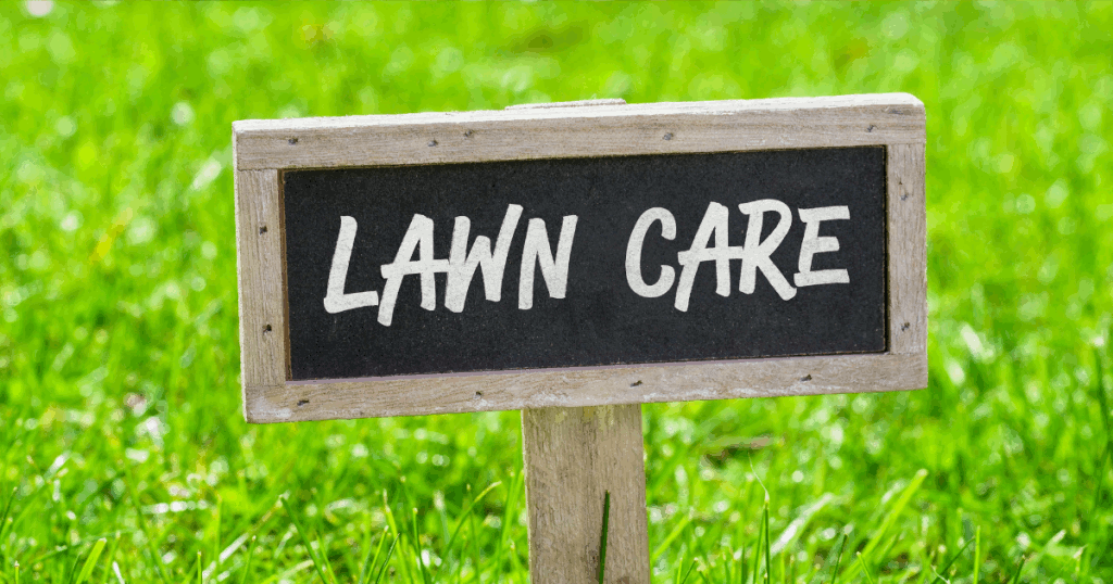 lawn care edmonton